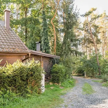 U Rybnika בית נופש Druztova